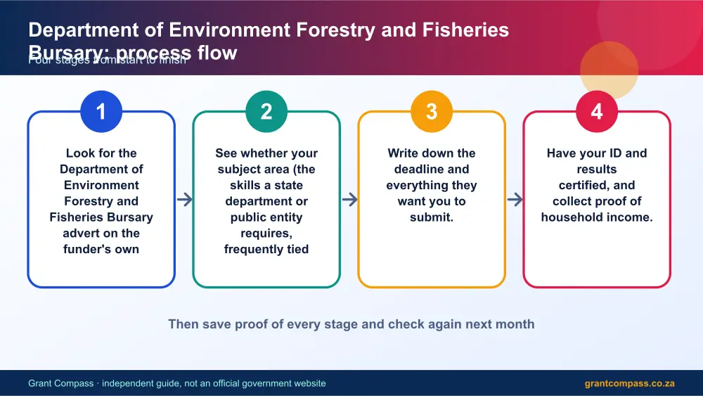 Department of Environment Forestry and Fisheries Bursary process flow chart infographic – dffe bursary South Africa 2026