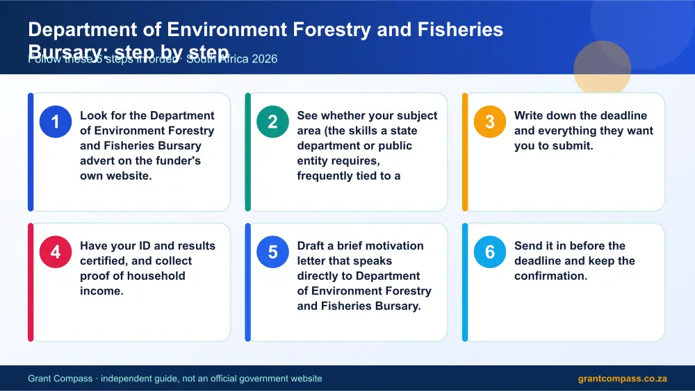 Department of Environment Forestry and Fisheries Bursary step by step guide infographic – dffe bursary South Africa 2026